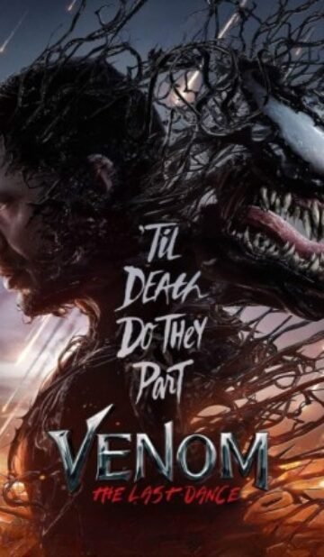 Vicky Vidya Ka Woh Wala (2024) – Complete Review – TheWorldFree4U